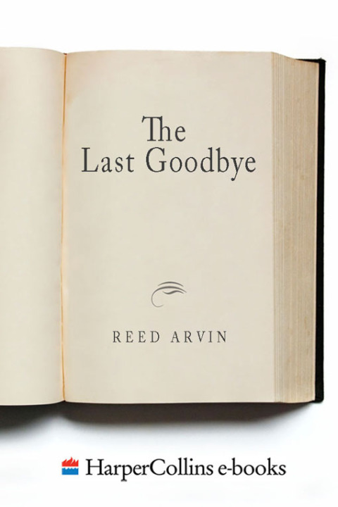 Cover image for book The Last Goodbye