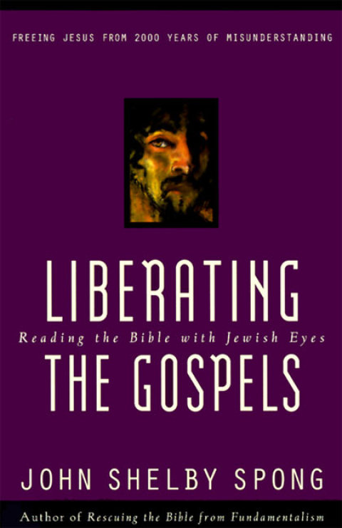 Cover image for book Liberating the Gospels
