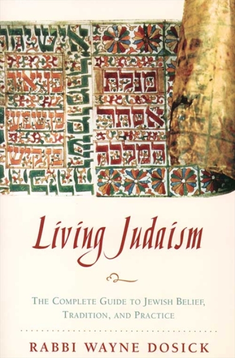 Cover image for book Living Judaism