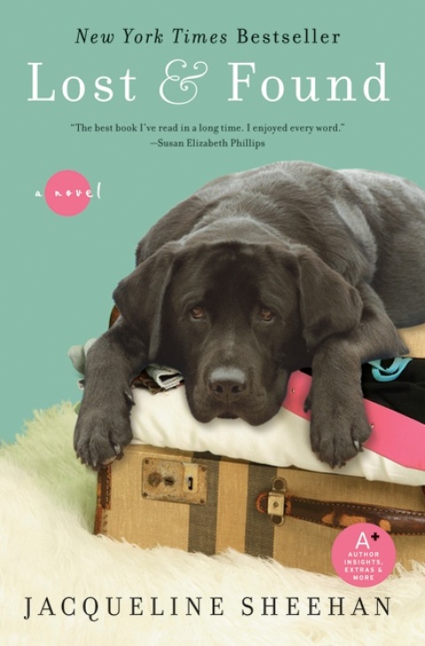 Cover image for book Lost & Found