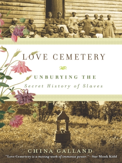 Cover image for book Love Cemetery