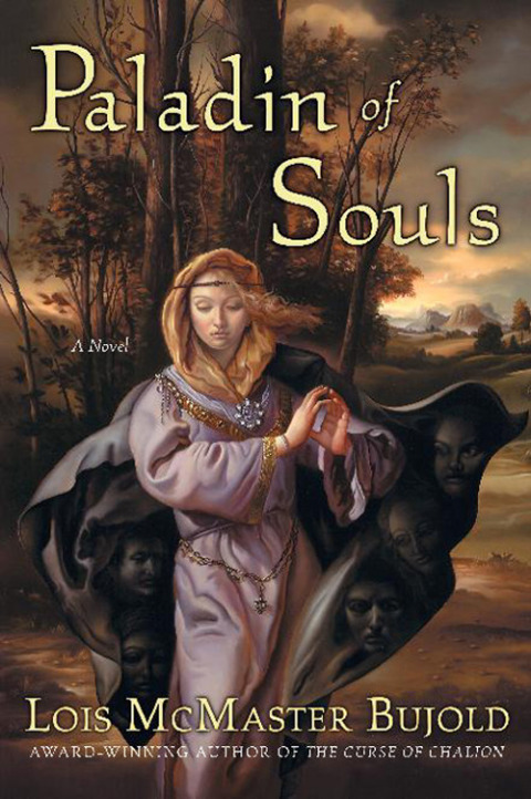 Cover image for book Paladin of Souls