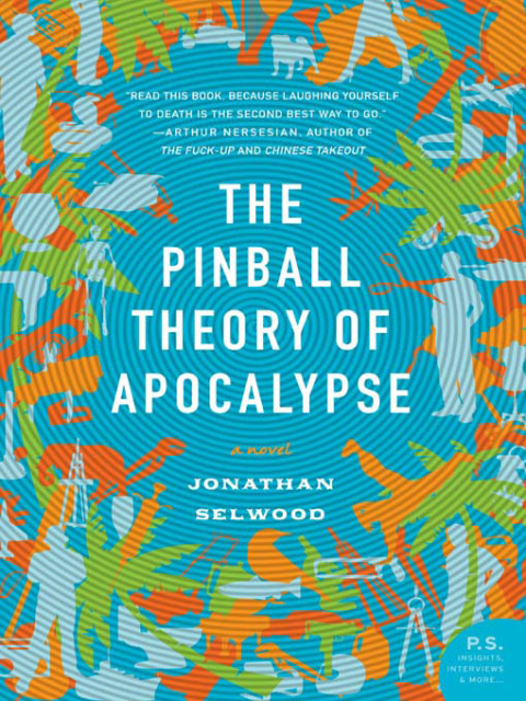 Cover image for book The Pinball Theory of Apocalypse