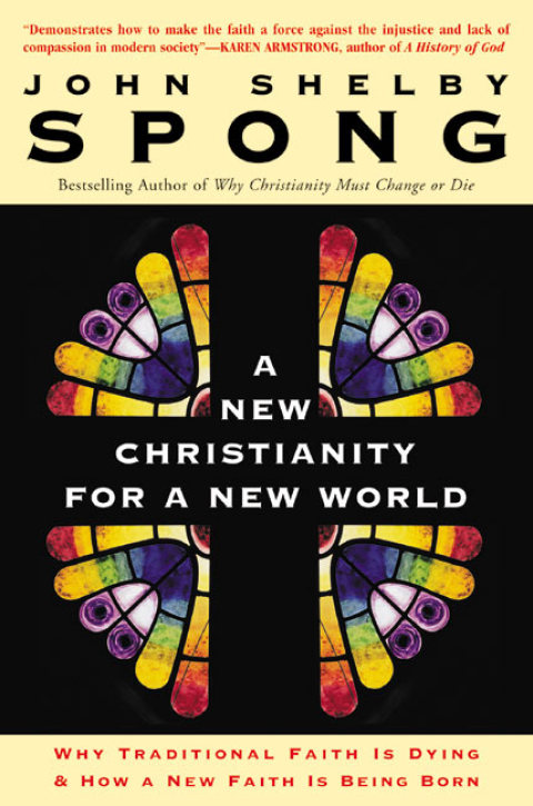 Cover image for book New Christianity for a New World, A