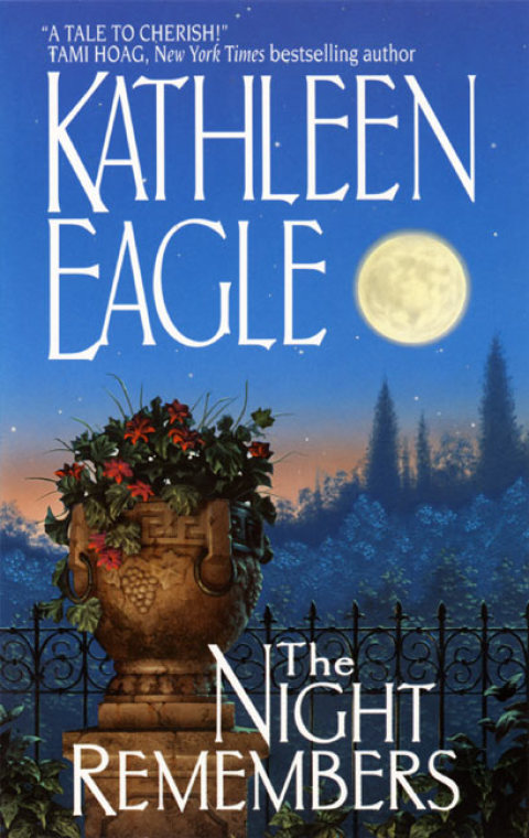 Cover image for book The Night Remembers
