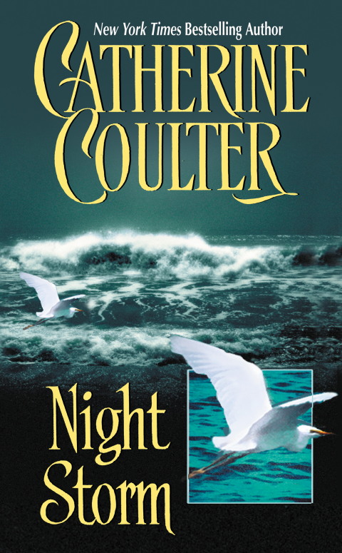 Cover image for book Night Storm