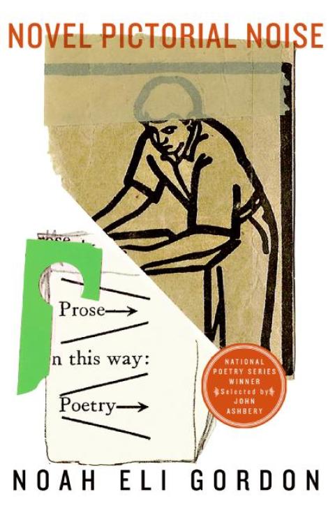 Cover image for book Novel Pictorial Noise