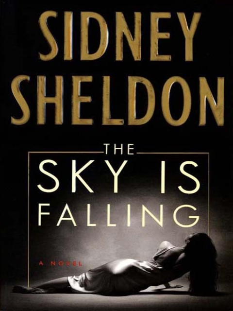 Cover image for book The Sky Is Falling