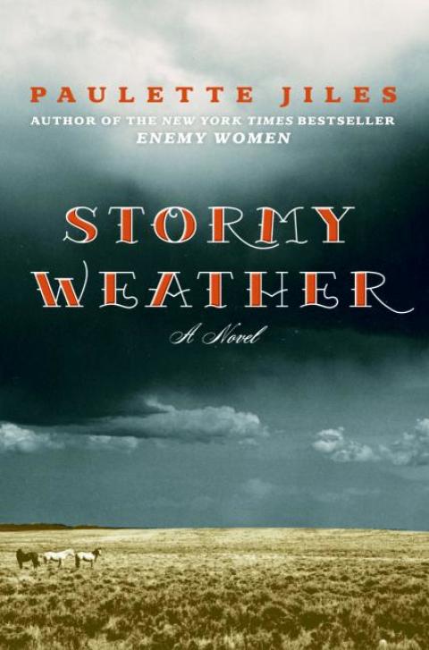 Cover image for book Stormy Weather