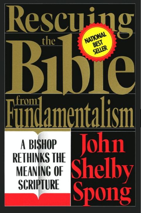 Cover image for book Rescuing the Bible from Fundamentalism