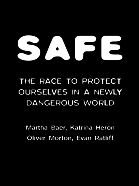 Cover image for book SAFE
