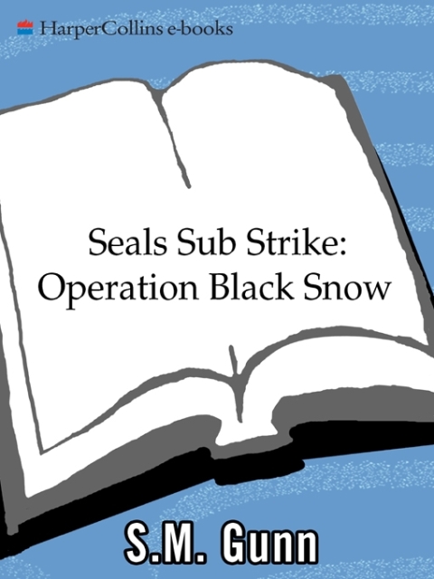 Cover image for book SEALs Sub Strike: Operation Black Snow