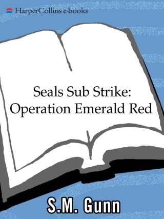 SEALs Sub Strike: Operation Emerald Red