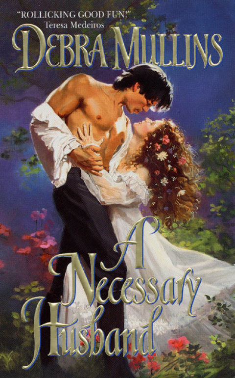 Cover image for book A Necessary Husband