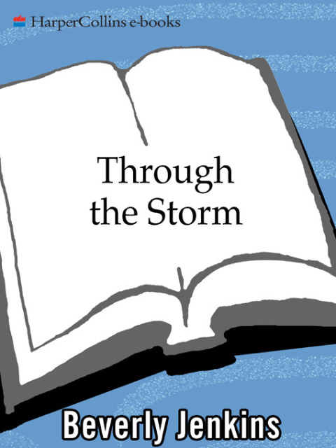 Cover image for book Through the Storm