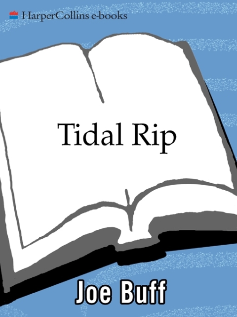 Cover image for book Tidal Rip
