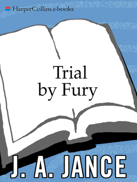 Cover image for book Trial By Fury