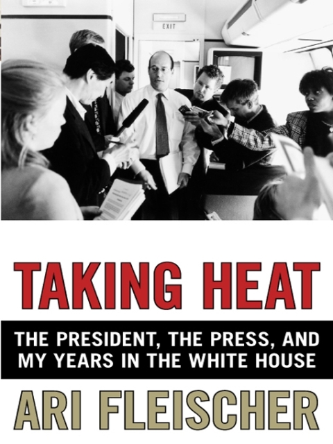 Cover image for book Taking Heat