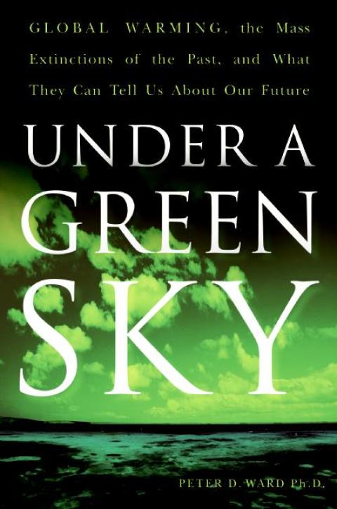 Cover image for book Under a Green Sky