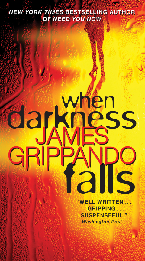 Cover image for book When Darkness Falls
