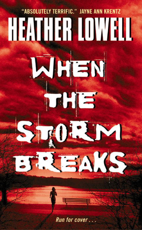 Cover image for book When the Storm Breaks