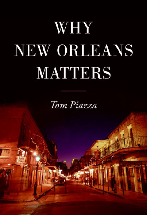 Cover image for book Why New Orleans Matters