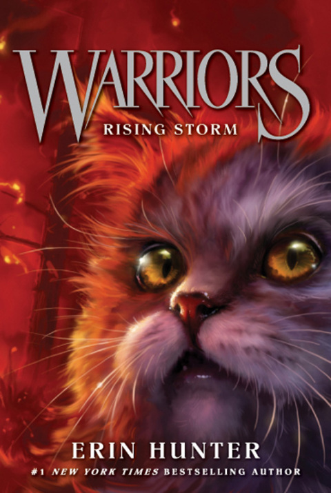 Cover image for book Warriors #4: Rising Storm