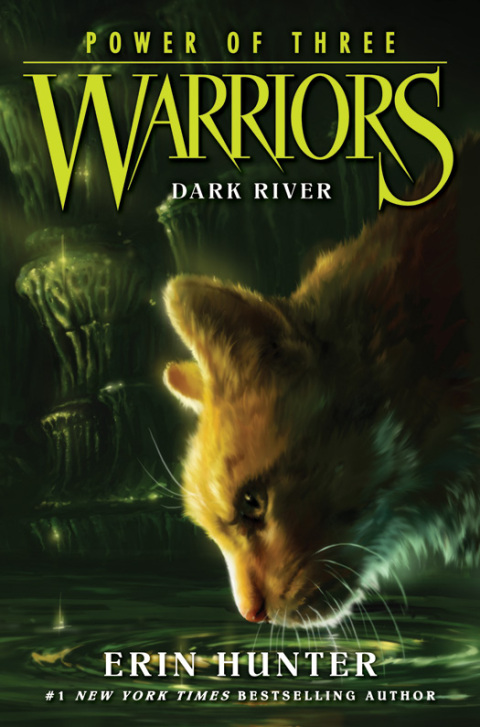Cover image for book Warriors: Power of Three #2: Dark River