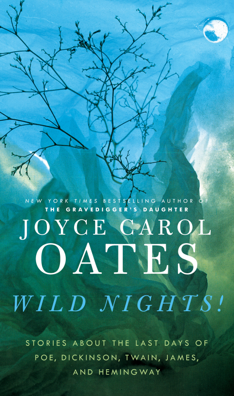Cover image for book Wild Nights!