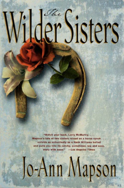 Cover image for book The Wilder Sisters