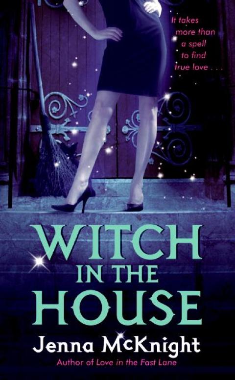 Cover image for book Witch in the House