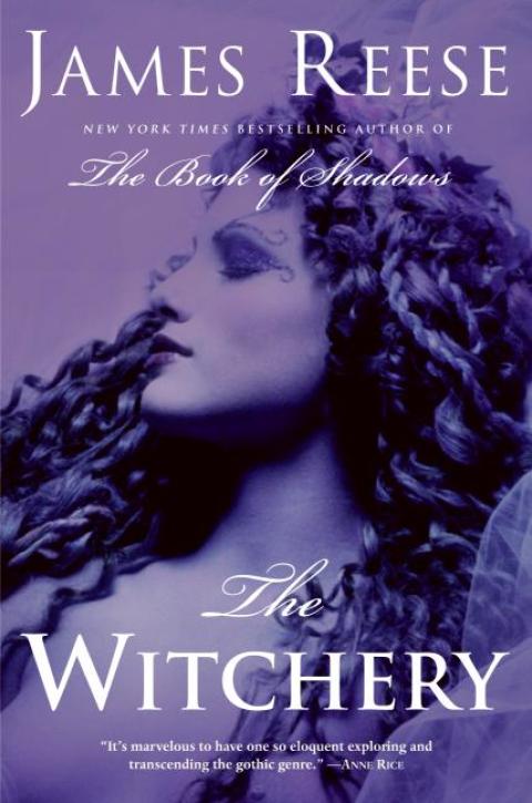 Cover image for book The Witchery