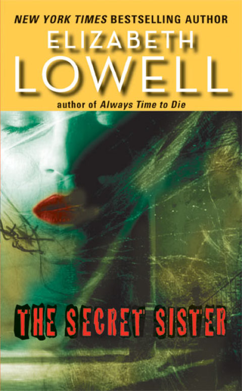 Cover image for book The Secret Sister