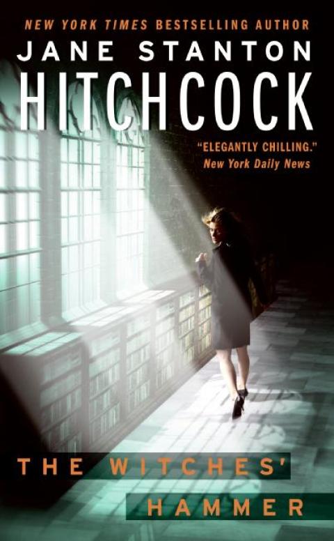 Cover image for book The Witches' Hammer