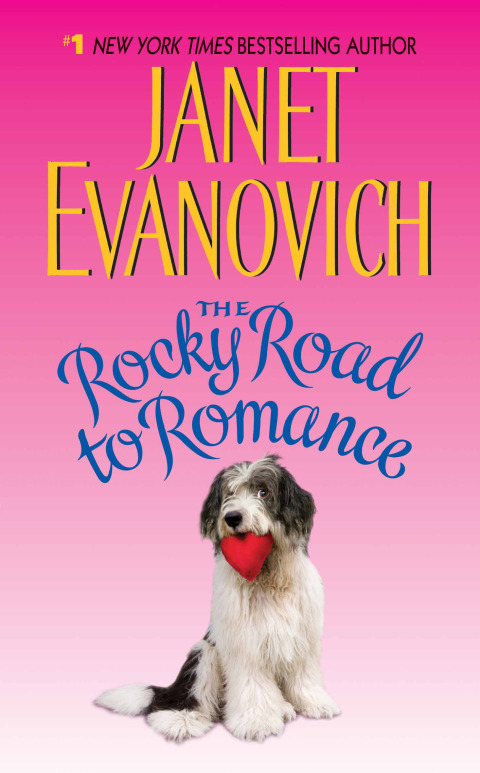 Cover image for book The Rocky Road to Romance