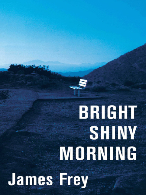 Cover image for book Bright Shiny Morning