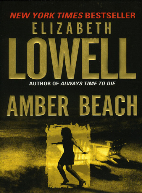 Cover image for book Amber Beach