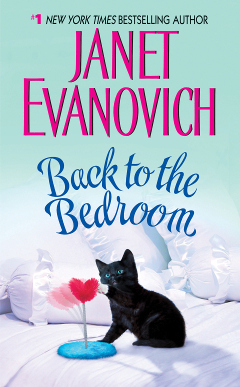Cover image for book Back to the Bedroom