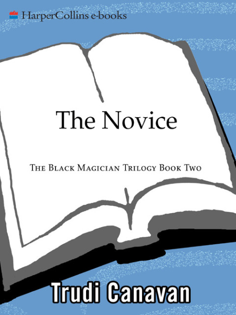Cover image for book The Novice