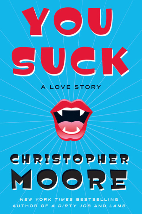 Cover image for book You Suck