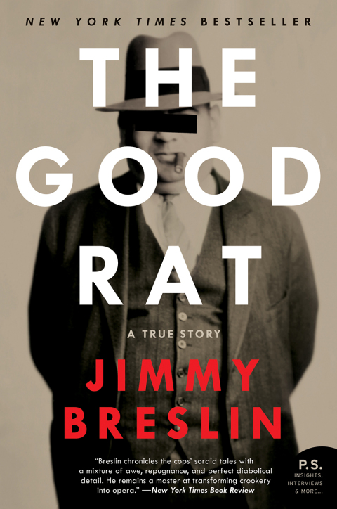 Cover image for book The Good Rat