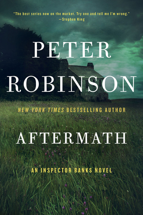 Cover image for book Aftermath