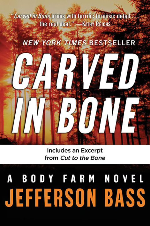Cover image for book Carved in Bone
