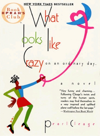 What Looks Like Crazy On an Ordinary Day