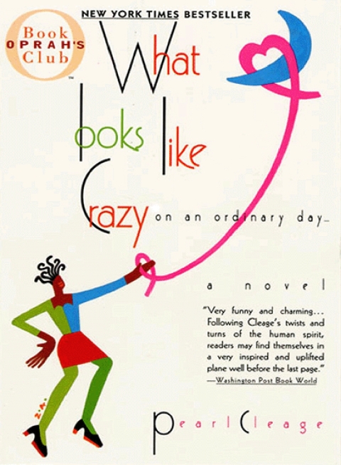 Cover image for book What Looks Like Crazy On an Ordinary Day