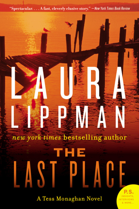 Cover image for book The Last Place