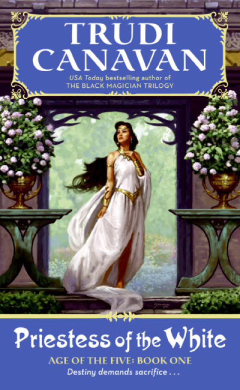 Cover image for book Priestess of the White