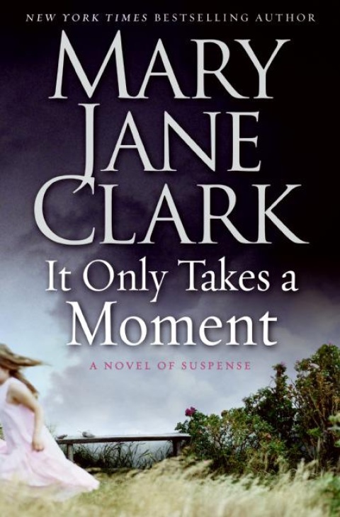 Cover image for book It Only Takes a Moment