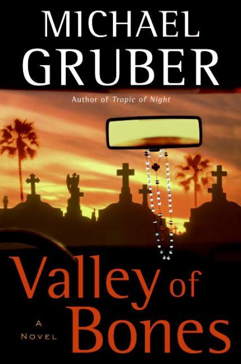 Cover image for book Valley of Bones