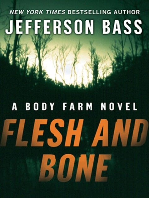 Cover image for book Flesh and Bone